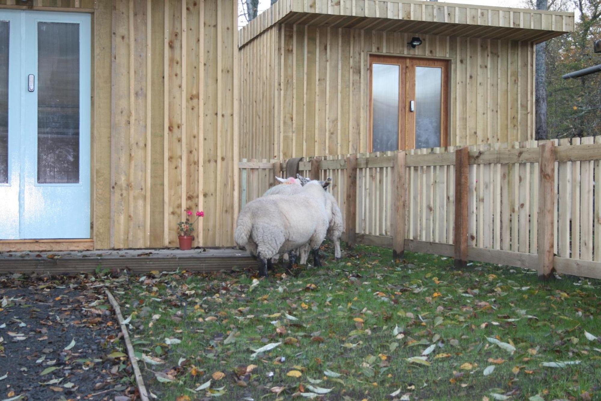 Bcc Lochness Hostel Pods Bearnock 외부 사진