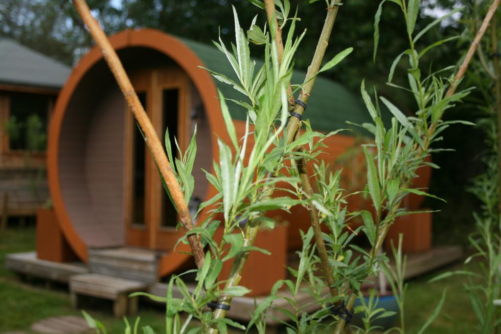 Bcc Lochness Hostel Pods Bearnock 외부 사진