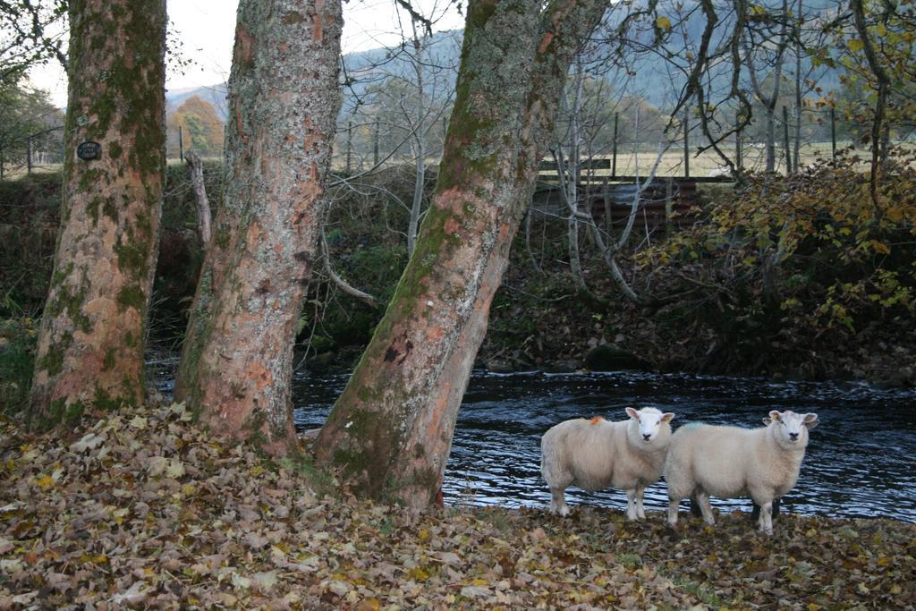 Bcc Lochness Hostel Pods Bearnock 외부 사진