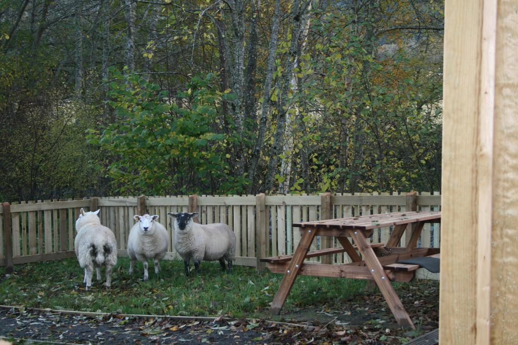 Bcc Lochness Hostel Pods Bearnock 객실 사진