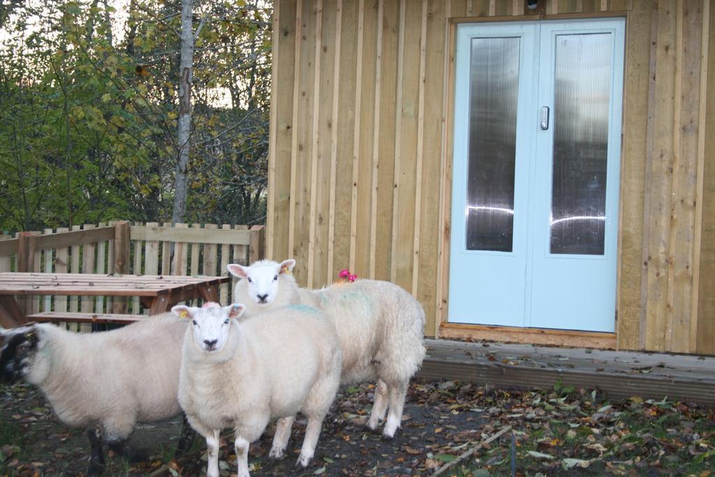 Bcc Lochness Hostel Pods Bearnock 객실 사진