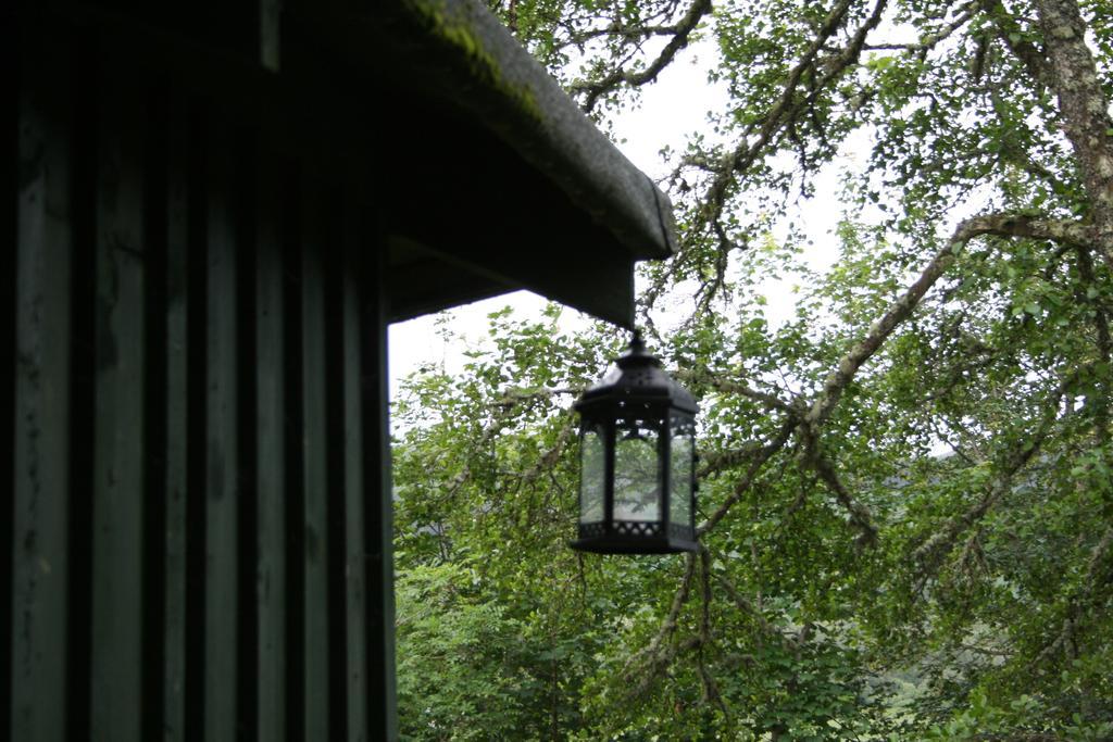 Bcc Lochness Hostel Pods Bearnock 외부 사진