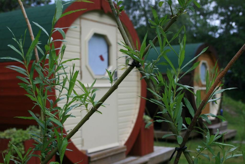 Bcc Lochness Hostel Pods Bearnock 객실 사진