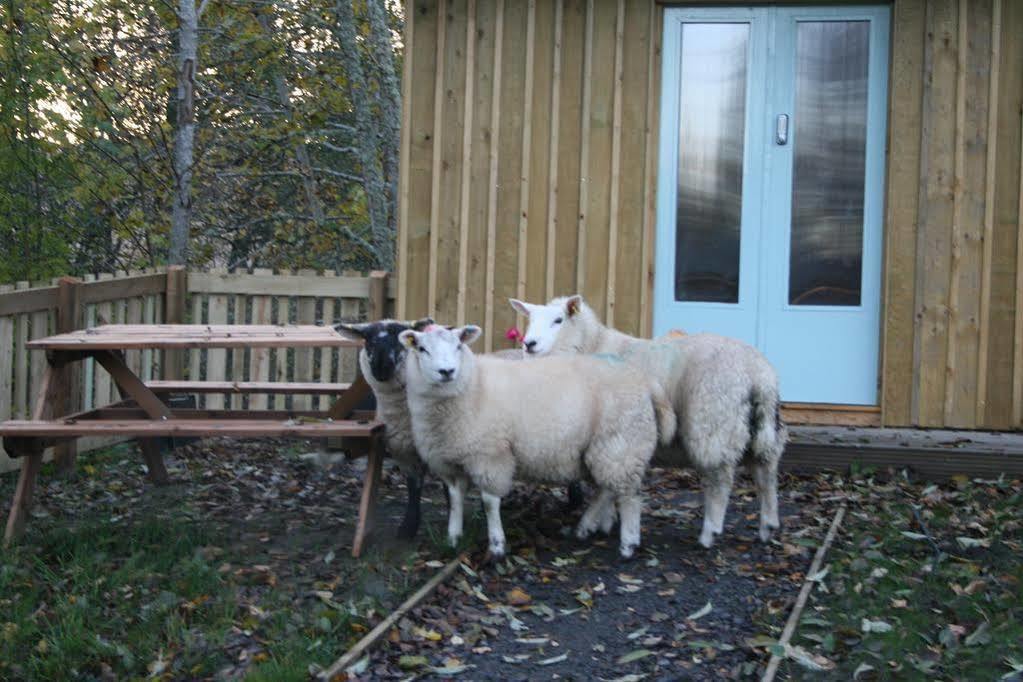 Bcc Lochness Hostel Pods Bearnock 외부 사진